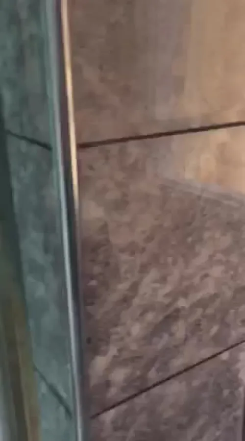 Vente Appartement F3 Sidi bel abbes Sidi bel abbes