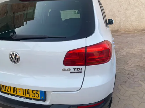 Volkswagen Tiguan 2014 CUP