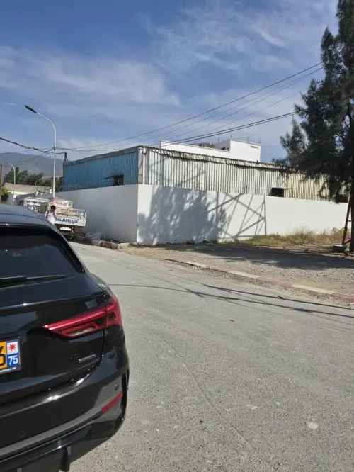 Location Hangar Blida Beni tamou