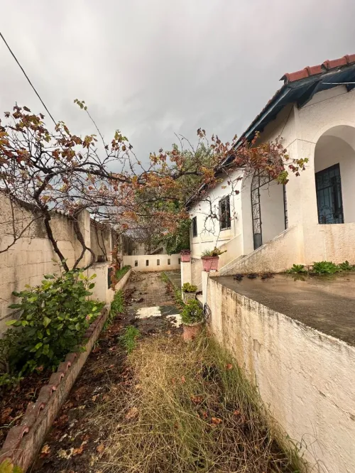 Vente Terrain Alger Ain taya
