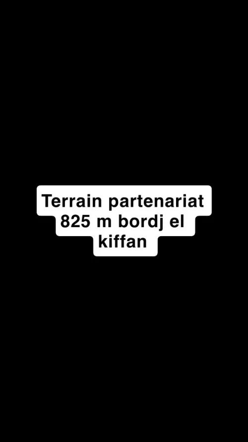 Vente Terrain Alger Bordj el kiffan