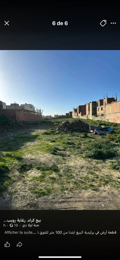 Vente Terrain Alger Reghaia