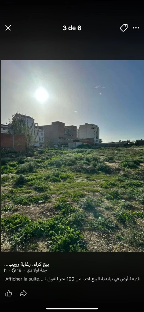 Vente Terrain Alger Reghaia