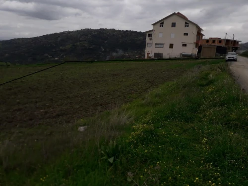 Vente Terrain Agricole Tizi Ouzou Tizi nthlata