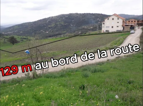 Vente Terrain Tizi Ouzou Tizi nthlata