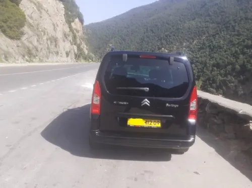 Citroen Berlingo Multispace 2012 