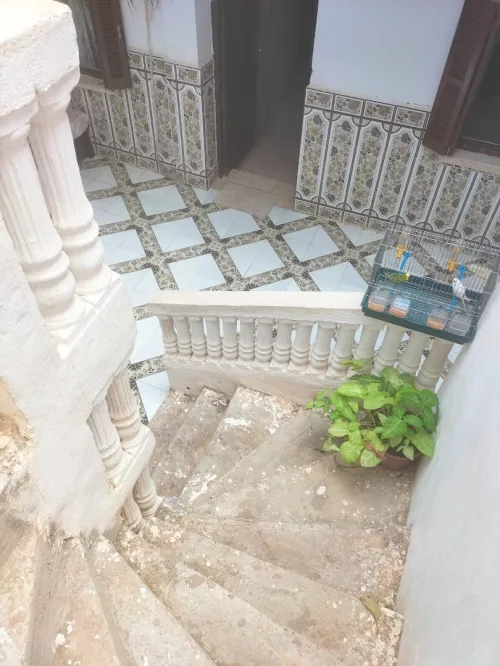 Vente Niveau De Villa F6 Tipaza Bou ismail