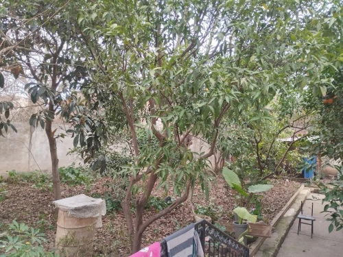 Vente Villa Tizi Ouzou Mechtrass