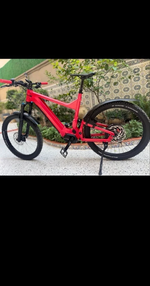 Vélo électrique Riese muller Delite