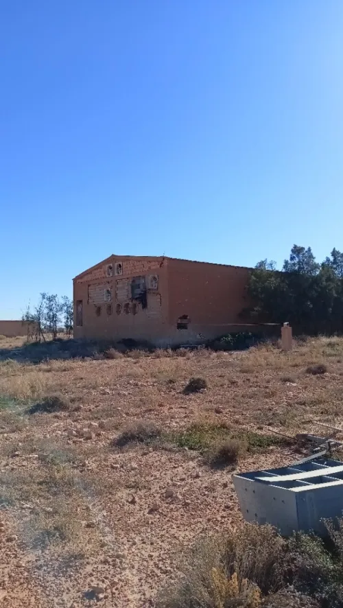 Vente Hangar Djelfa Ain oussara