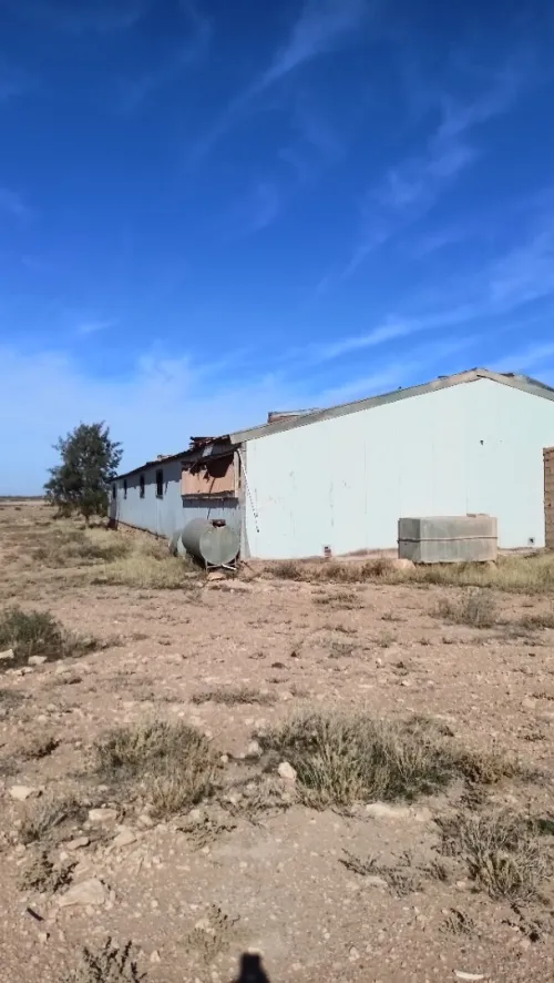 Vente Hangar Djelfa Ain oussara