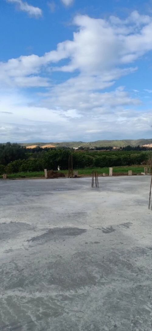 Vente Terrain Blida Mouzaia