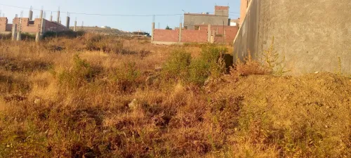 Vente Terrain Blida Bougara