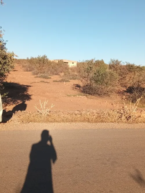 Vente Terrain Agricole Saïda Ain el hadjar