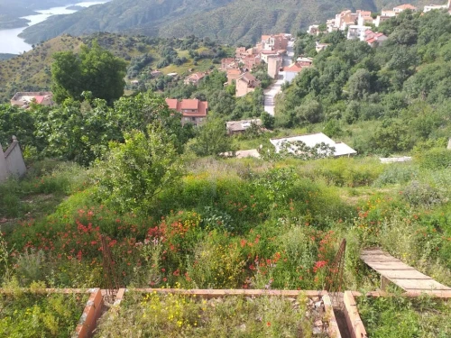 Vente Villa Tizi Ouzou Larbaa nath irathen