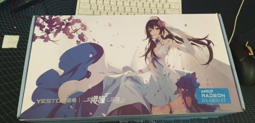 Yeston sakura RX 6800XT 