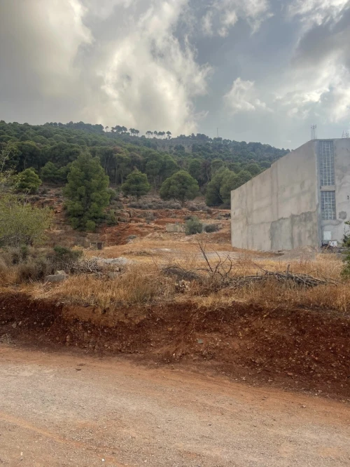Vente Terrain Tlemcen Tlemcen