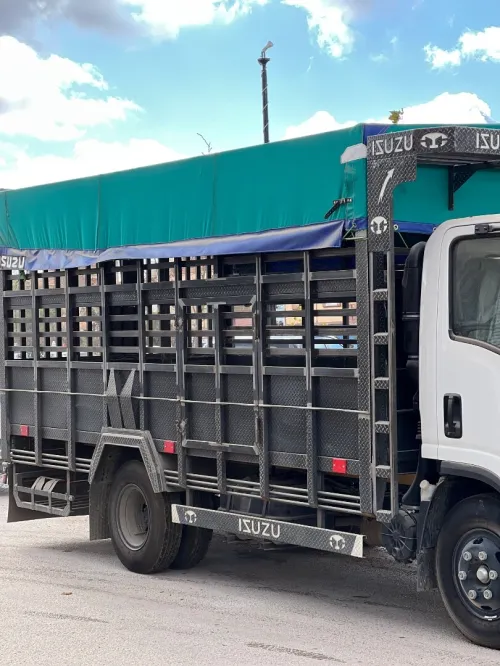Isuzu Super jumbo 