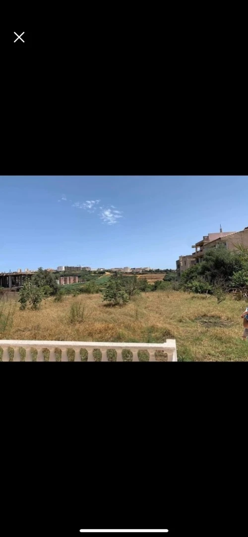 Vente Terrain Tipaza Kolea