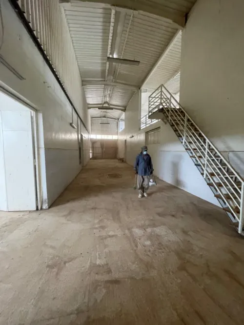 Vente Hangar - Usine Oran Oued tlelat