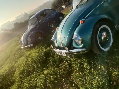 Volkswagen Coccinelle 1963 9ch