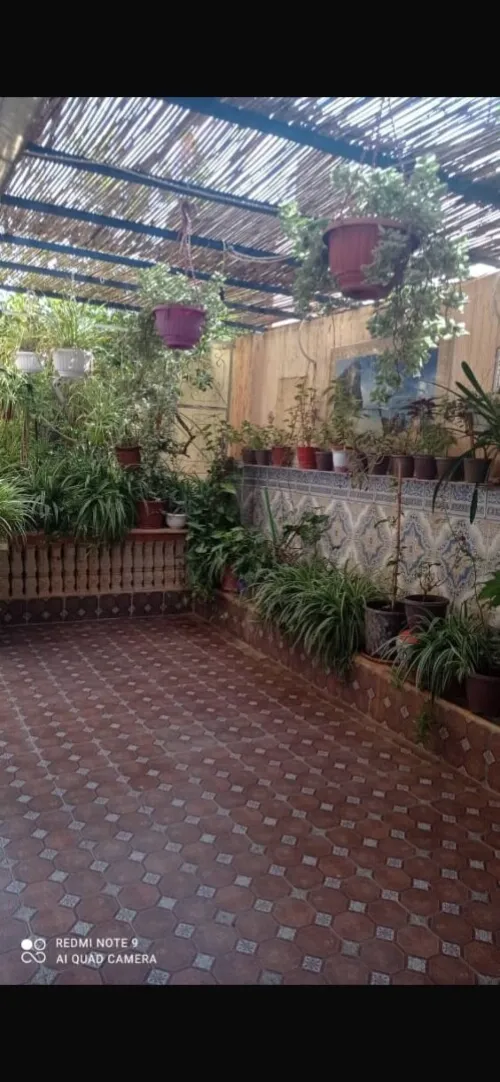 Vente Villa Alger Draria