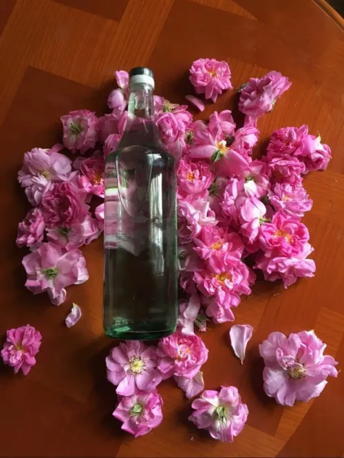 Eau de rose 