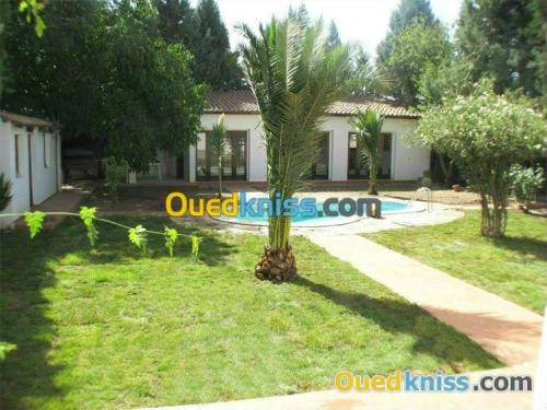 jardinage