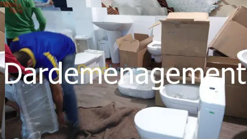 DEMENAGEMENT MANUTENTIONS & TRANSPORT