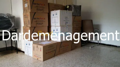 DEMENAGEMENT MANUTENTIONS & TRANSPORT