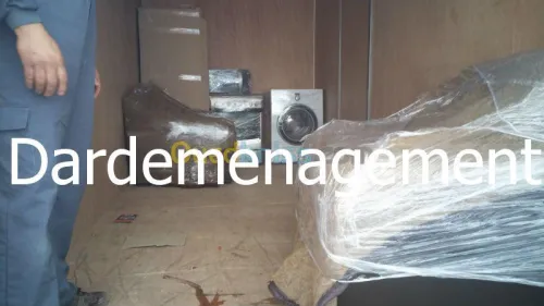 Les Gentlemen Du Déménagement