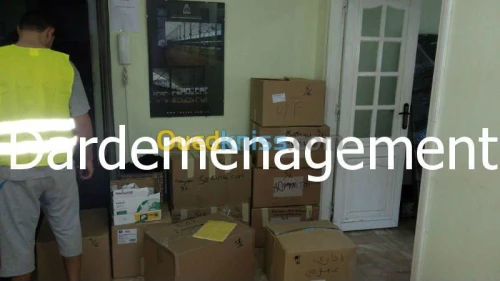 DEMENAGEMENT TRANSPORT MANUTENTIONS