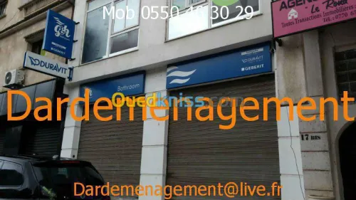 TRANSPORT  /  LIVRAISON / DEMENAGEMENT