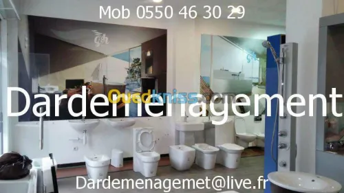 TRANSPORT  /  LIVRAISON / DEMENAGEMENT