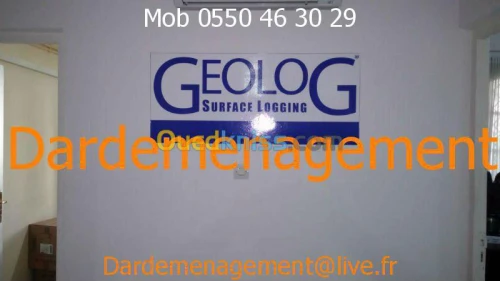 TRANSPORT  /  LIVRAISON / DEMENAGEMENT