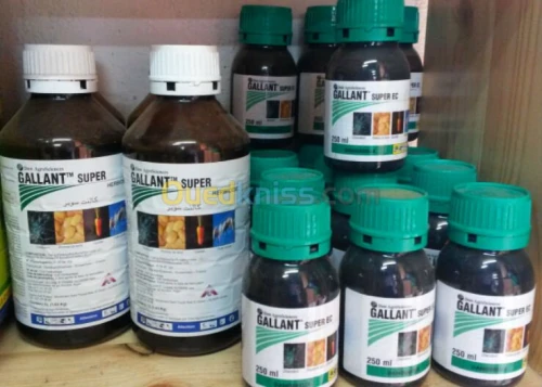 herbicide contre le chiendent 
