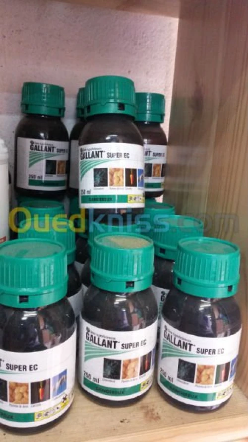 herbicide contre le chiendent 