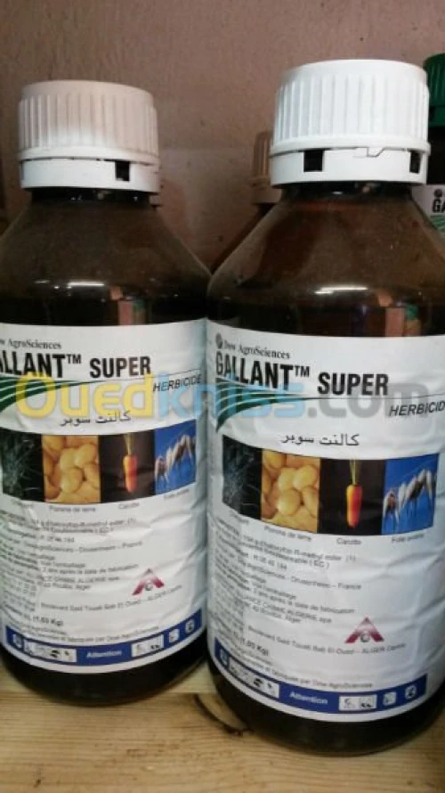 herbicide contre le chiendent 