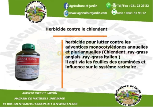 herbicide contre le chiendent 
