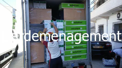 DEMENAGEMENT TRANSPORT & MANUTENTIONS