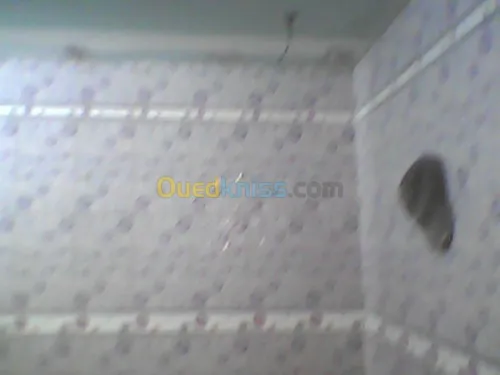 construction villa  et  maçonnerie