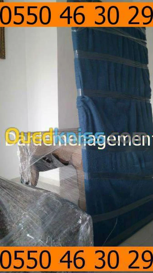 DEMENAGEMENT PARTICULIER ENTREPRISES