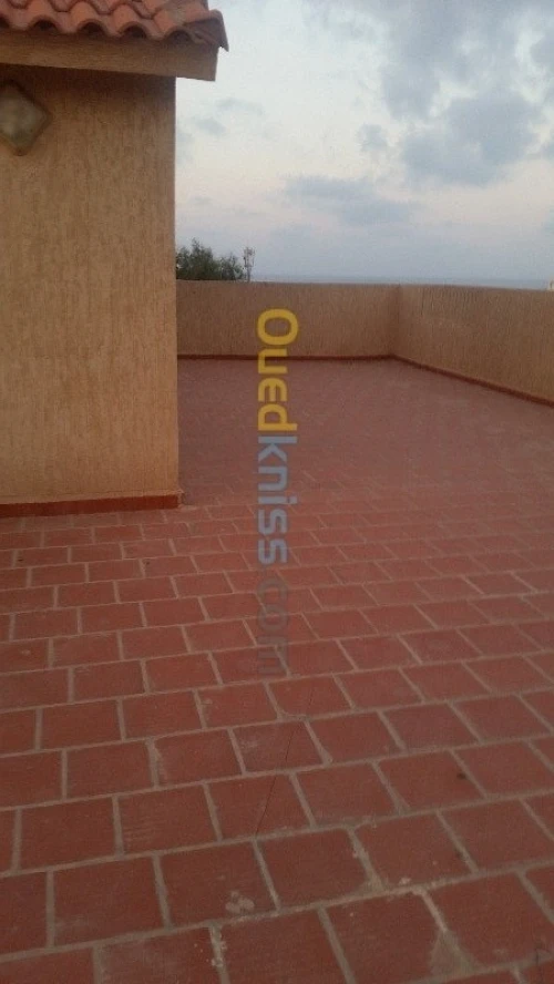 Vente Immeuble Oran Ain el turck