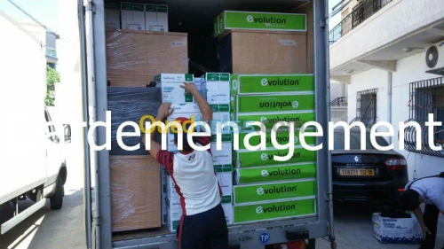 DEMENAGEMENT- TRANSPORT - MANUTENTION 