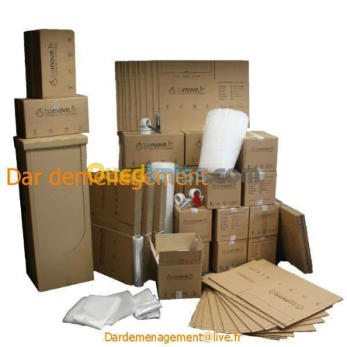 Les Gentlemen Du Déménagement