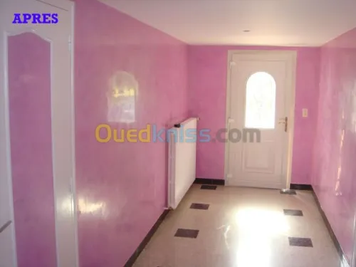  platrie décorateur