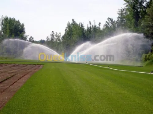 تهيئة المساحات الخضراء