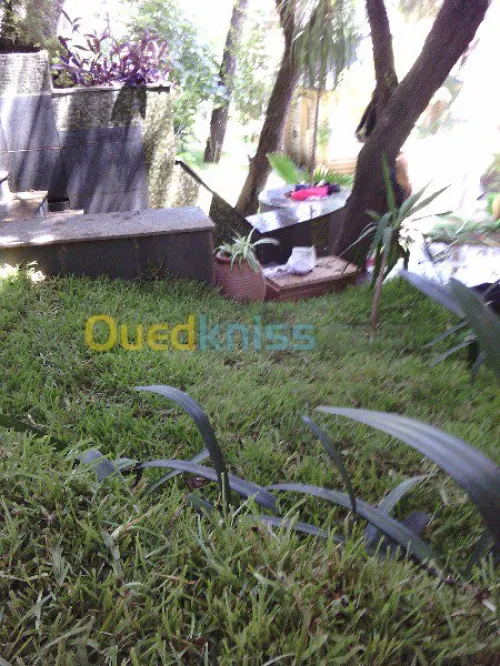 تهيئة المسحات الخضراء