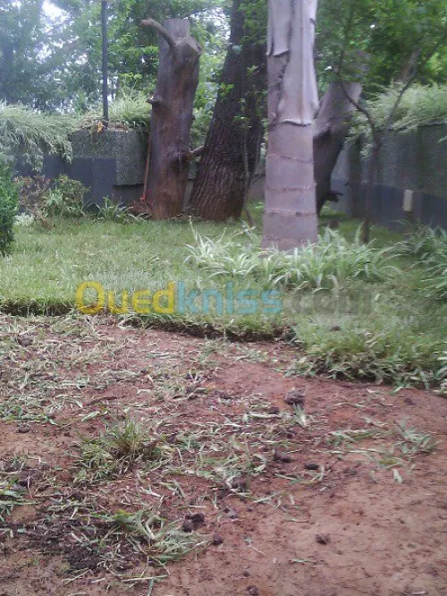 تهيئة المساحات الخضراء