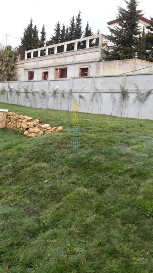 تهيئة المساحات الخضراء